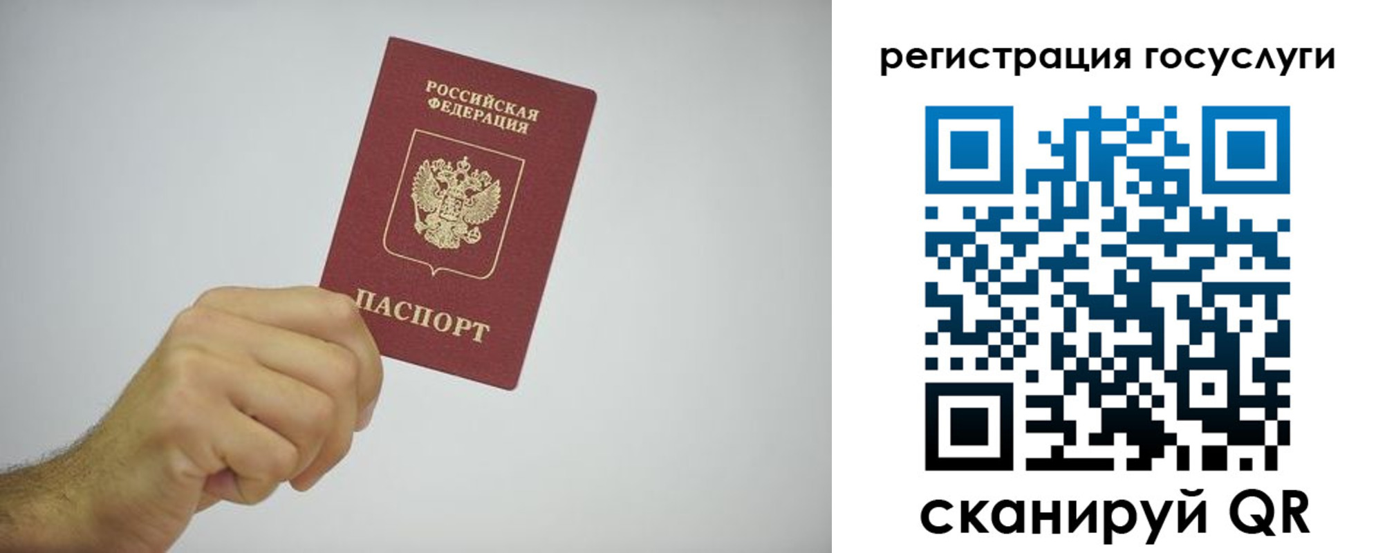 временная регистрация гарантия в Долгопрудном